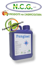 Load image into Gallery viewer, FUNGISEI DA 5 LT – Fungicida biologico ad ampio spettro a base di bacillus subtilis