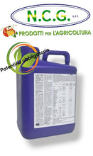 Load image into Gallery viewer, FUNGISEI DA 5 LT – Fungicida biologico ad ampio spettro a base di bacillus subtilis