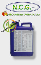 Load image into Gallery viewer, FUNGISEI DA 5 LT – Fungicida biologico ad ampio spettro a base di bacillus subtilis