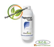 Carica l'immagine nel visualizzatore di Gallery, PAPYRUS GOLD DA 1 LT – Fungicida sistemico a base di Pyrimethanil 400 g/L