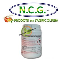 Carica l'immagine nel visualizzatore di Gallery, Shark PF gr 500 Sipcam bioinsetticida contro aleurodidi e tripidi