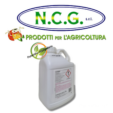 Carica l'immagine nel visualizzatore di Gallery, Flipper Bayer da lt 5 Aficida- insetticida biologico contro la cocciniglia