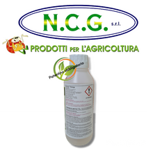 Carica l'immagine nel visualizzatore di Gallery, PREVICUR ENERGY BAYER – Fungicida sistemico per orticole e lattughe (Propamocarb + Fosetyl)