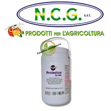 Carica l'immagine nel visualizzatore di Gallery, PROLECTUS 50 WG — Fungicida antioidico e antibotritico di nuova generazione