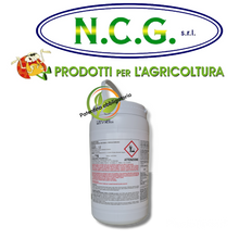 Carica l'immagine nel visualizzatore di Gallery, PROLECTUS 50 WG — Fungicida antioidico e antibotritico di nuova generazione