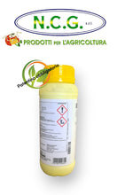 Load image into Gallery viewer, DAGONIS BASF DA 1 LT – Fungicida a duplice azione preventiva e curativa a base di Fluxapyroxad e Difenoconazolo