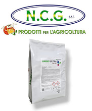Carica l'immagine nel visualizzatore di Gallery, AMINO ULTRA Fe-20 – Ferro (Fe) chelato con glicina in ultragranulo con tecnologia GCAA da 5 kg