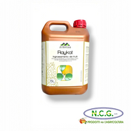 ATLANTICA RAYKAT Ingrossamento – Biostimolante per l’accrescimento e la qualità dei frutti