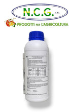 Carica l'immagine nel visualizzatore di Gallery, FERTIACTYL GZ – Concime organo-minerale NK in sospensione 13-5 + 8,7C