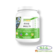 FIVE MULTI 13,2 - 13,2 - 13,2 + 6 CaO + 3 MgO – Fertirrigante Completo per Colture a Elevato Fabbisogno Nutrizionale