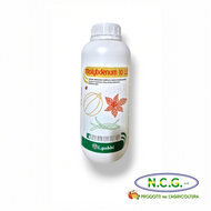 MOLYBDENUM 10 LG – Concime fogliare a base di molibdeno