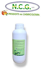 Olio di neem da lt 1 Ever green estratto naturale di neem insetticida