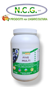 Five  Multi 13,2 - 13,2 - 13,2 + ca + mg da kg 10 fertirrigante in gel ad alto contenuto di calcio e magnesio