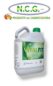 Timac Vitalfit da lt 5 Attiva il metabolismo della pianta, aumentando le molecole antiossidanti.