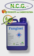 Fungisei da lt 5 fungicida microbiologico a base di bacillus subtilis