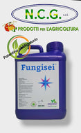 FUNGISEI DA 5 LT – Fungicida biologico ad ampio spettro a base di bacillus subtilis