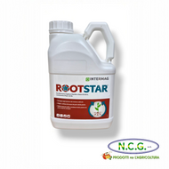 ROOTSTAR INTERMAG - Biostimolante della radicazione da 5 lt
