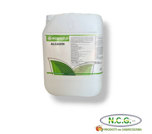 Econatur Algaxin biostimolante a base di estratto di alghe marine ad alto contenuto energetico