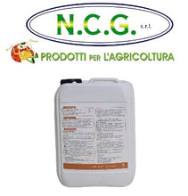 Carica l'immagine nel visualizzatore di Gallery, FULVOLINK FERRO LS – Concime Liquido per un Apporto Efficace di Ferro alle Piante