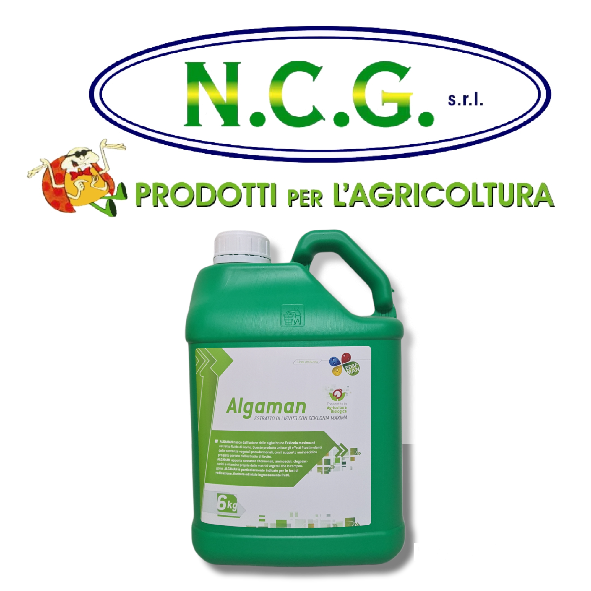 ALGHICIDA ANTIALGHE SUPERCONCENTRATO A TRIPLA AZIONE - CONFEZIONE DA 5 10 25 Litri ALGHICIDA ANTIALGHE SUPERCONCENTRATO A TRIPLA AZIONE - CONFEZIONE DA 5 10 25 Litri