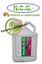 Carica l'immagine nel visualizzatore di Gallery, AMYLO-X LC - Fungicida Battericida a Base di Bacillus Amyloliquefaciens