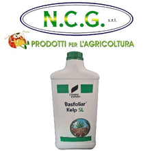 Load image into Gallery viewer, BASFOLIAR KELP SL DA 10 LT – Biostimolante Naturale a Base di Ecklonia Maxima per la Salute e lo Sviluppo delle Piante