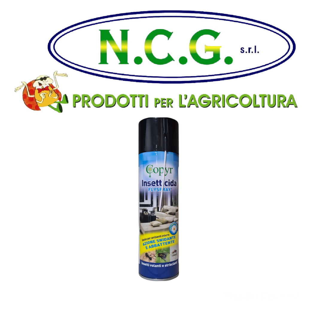 COPYR SPRAY – Insetticida a base di Piretrine e Piperonil Butossido 