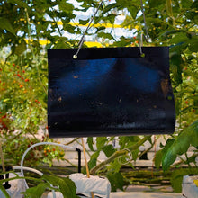 Load image into Gallery viewer, Horiver TutaTrappole collose di colore nero.