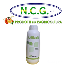 Load image into Gallery viewer, ACTIFLUID B  DA LT 1 DIAGRO CONCIME A BASE DI MICROELEMENTI BORO ETANOLAMMINA