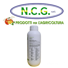 Load image into Gallery viewer, ACTIFLUID B  DA LT 1 DIAGRO CONCIME A BASE DI MICROELEMENTI BORO ETANOLAMMINA