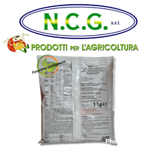 Load image into Gallery viewer, Tiovit Jet Syngenta da kg 1 a base di zolfo contro ruggine ticchiolatura ecc.