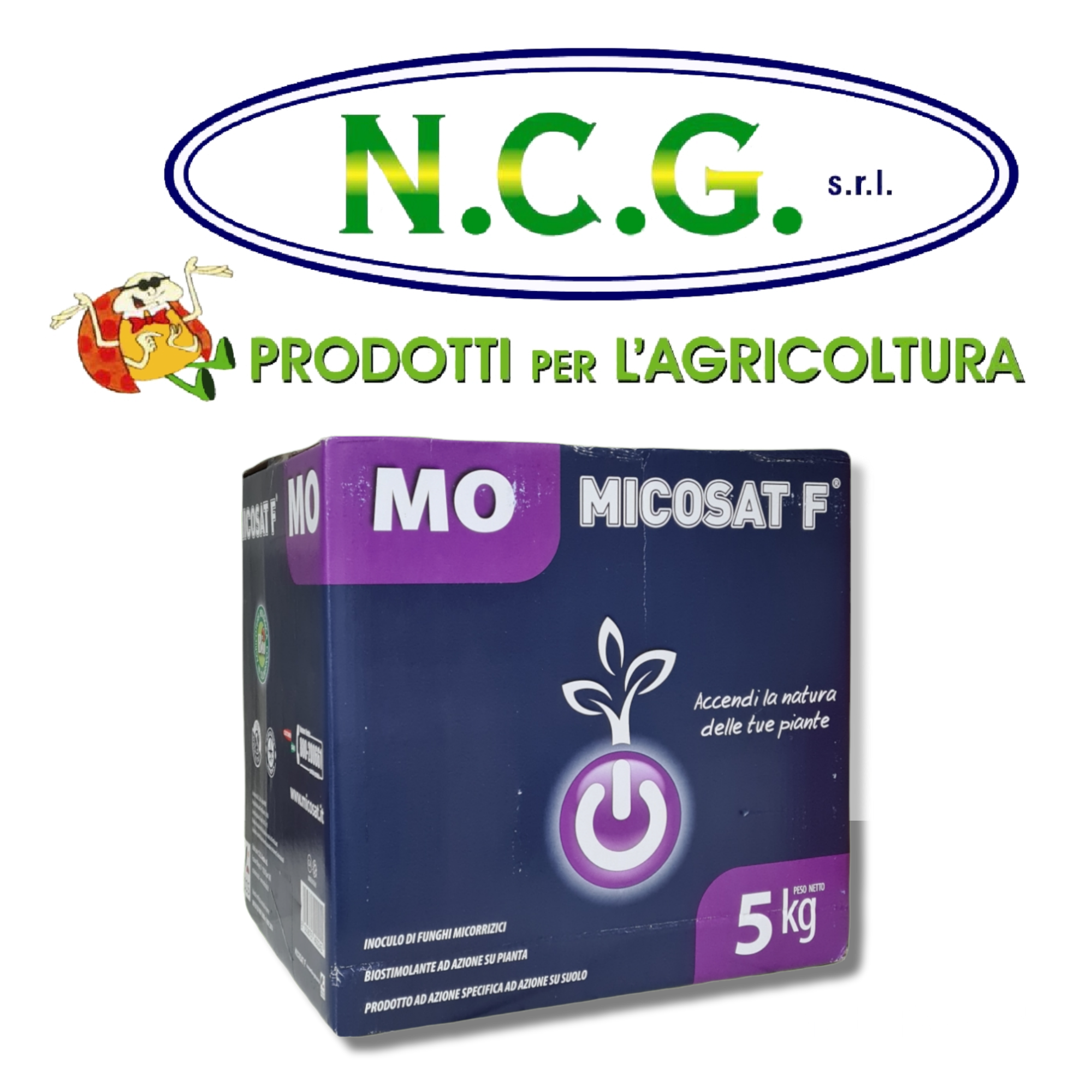 Concime Barenbrug Pro-Start 2,5kg con Micorrize - Semina Trapianti Peso Concime Barenbrug Pro-Start 2,5kg con Micorrize - Semina Trapianti Peso