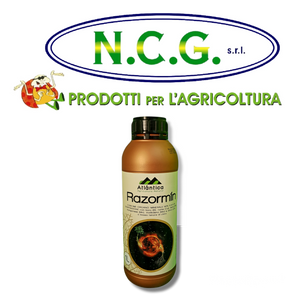Razormin Atlantica induttore dell'attività radicale