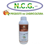 BRACHETTO AIFAR — Induttore di fioritura ad alta efficacia