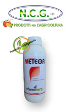 Load image into Gallery viewer, Meteor da lt 1 Chimiberg insetticida per vite, agrumi
