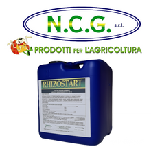 Carica l'immagine nel visualizzatore di Gallery, RHIZOSTART – Stimolatore di radicazione per orticole, erbacee e piante da giardino