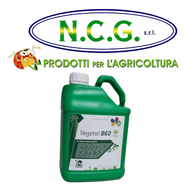 VEGETAL B60 ED & FMAN DA 6 KG — Concime fluido 100% vegetale ad azione osmo-protettiva