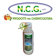 VOLARE BAYER – Fungicida sistemico per il controllo della peronospora 
